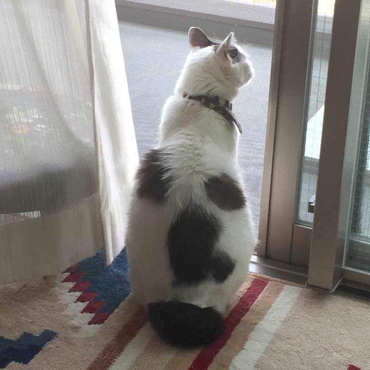 C7292ca2 0aad 4c09 bef4 7aed74487500