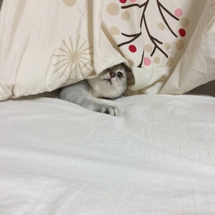 C7293f47 1aa6 4fa1 8b28 3d67a1dc9ee2