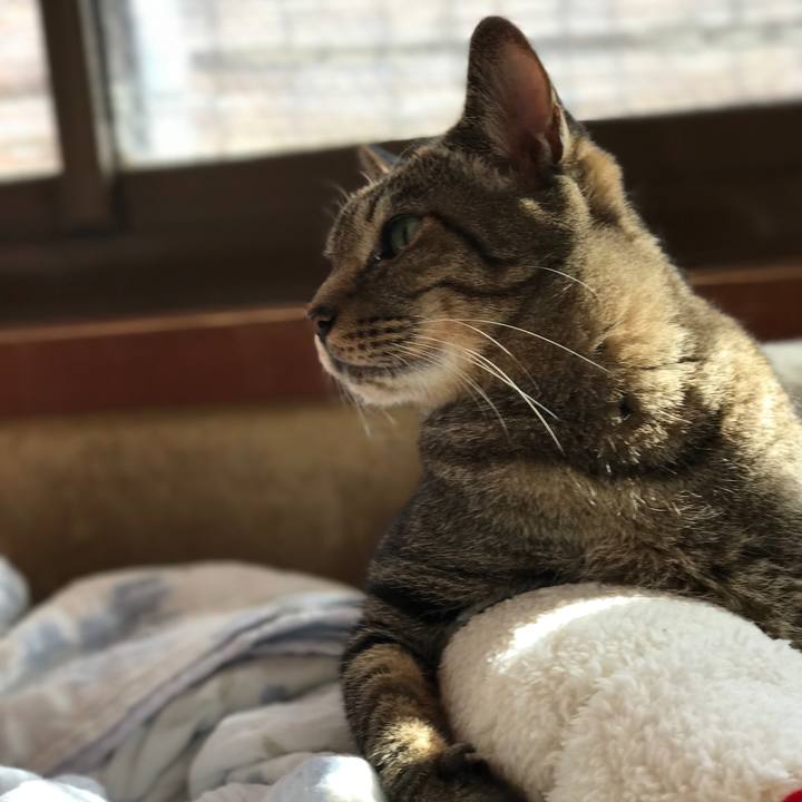 C7294f0f 20d2 4ebd a9f6 6fc025f21a06