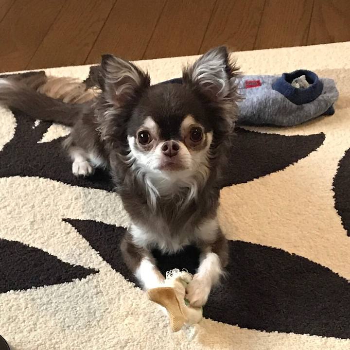 C729fcc0 fa51 4efc 9bf4 b0d6b5ce89bd