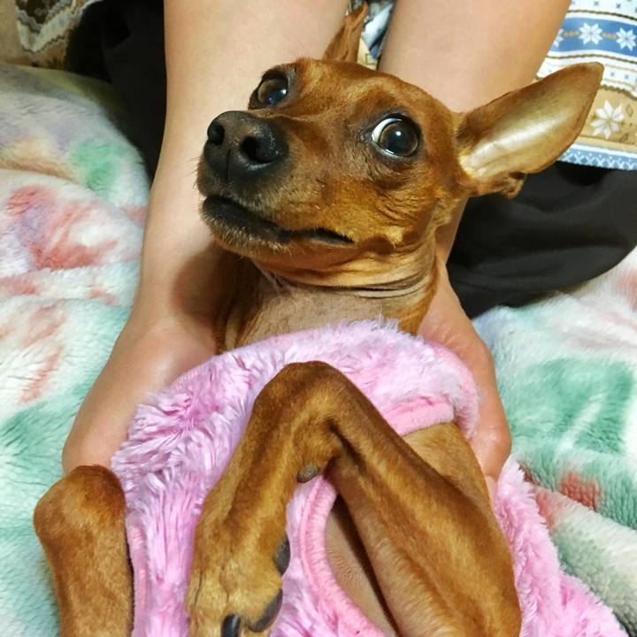 C72a47d6 7eb7 4364 a20f dcd750837fc0