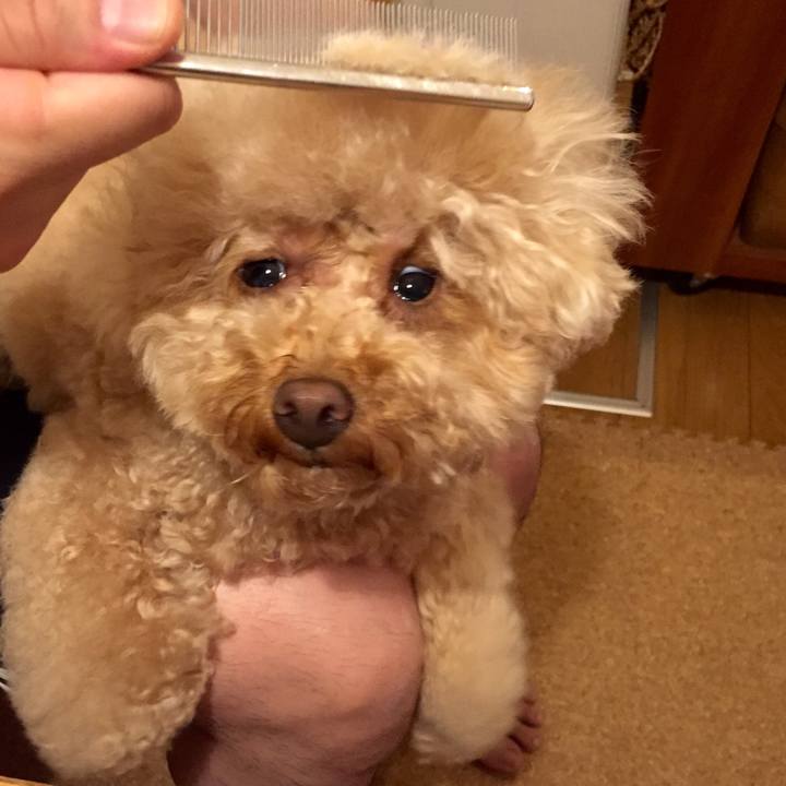 C72b4159 04fc 4bcf bfe6 2229fed9bb43