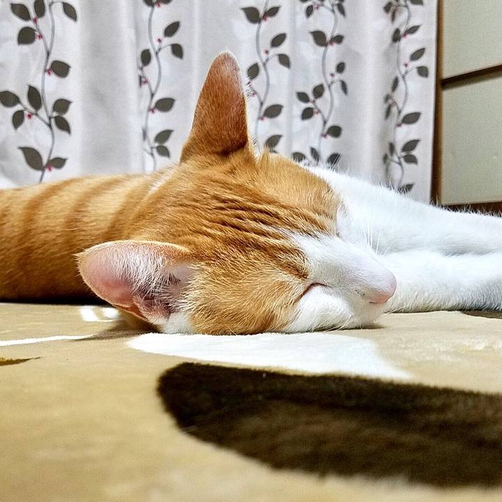 C72b4a27 f7ae 4f42 9cb0 46efe896c7c3