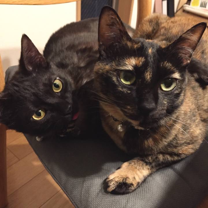 C72bbdb3 c927 42e9 b58a 7b5fe4d7ef99