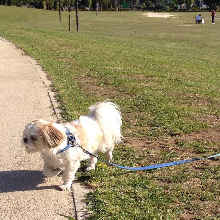 C72c29de a57a 4a90 84cb 15086a28d685