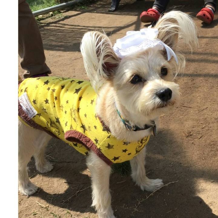 C72cb2b2 9a89 4e5e bfd2 d209092558d5