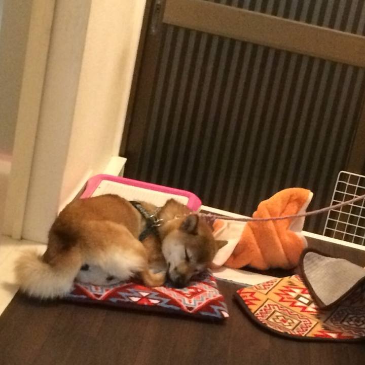 C72cc92e 6b67 4142 869b 68e0fad8ed07