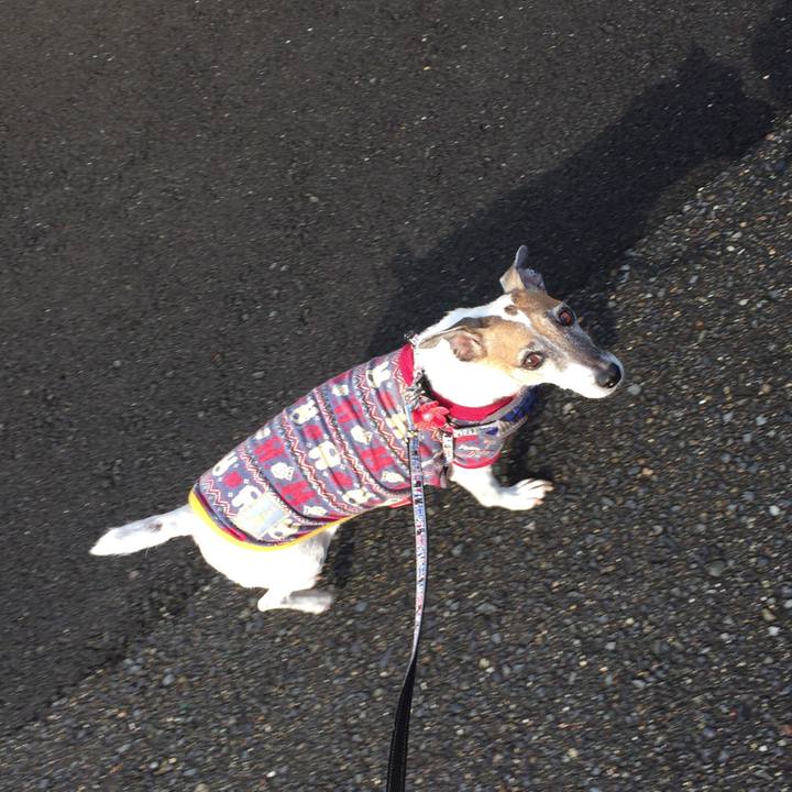 C72d1de9 012c 4083 82e8 3018906cc0d1