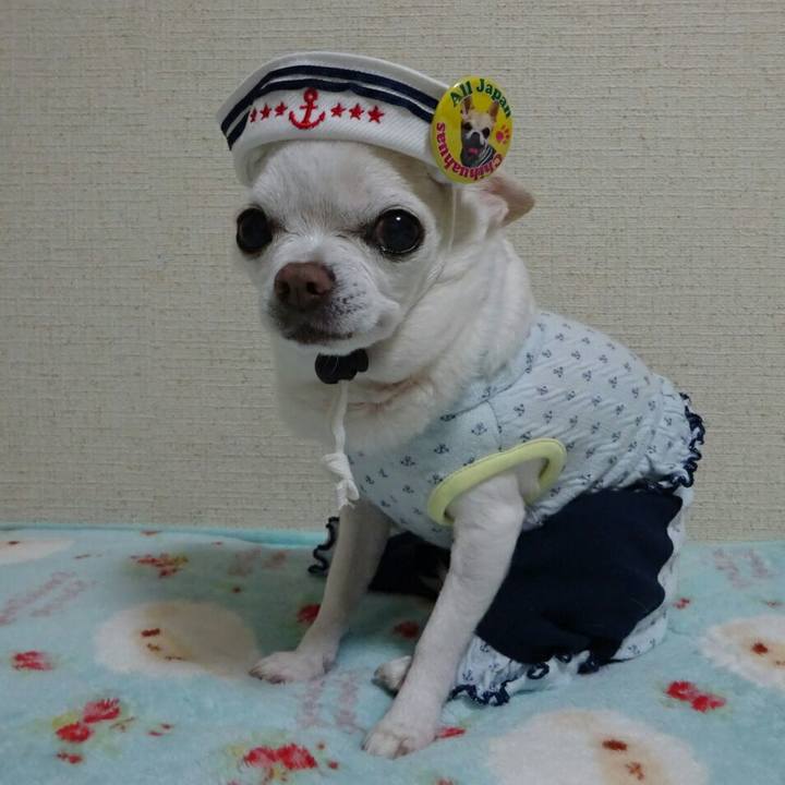 C72d476d 3654 457d 95a4 83589ea626b3