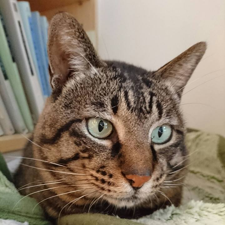 C72daa6f 3596 43a3 ac8e 07afde06fc47