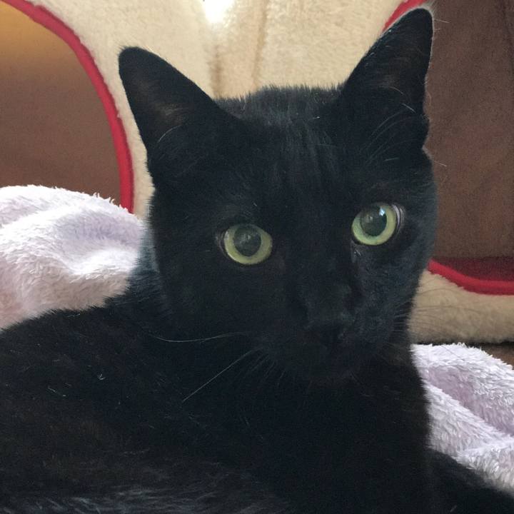 C72def65 f0b1 4e96 90b4 4a334ba0a853