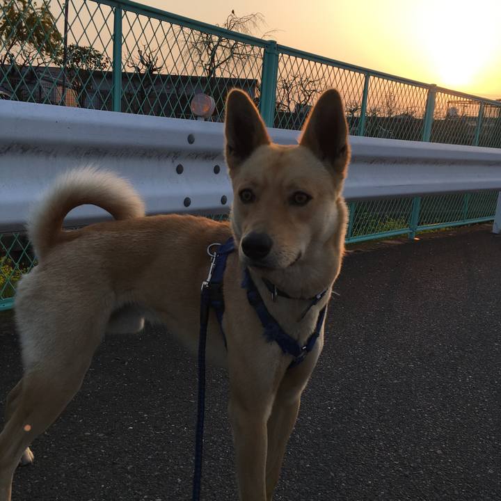 C72e72cc 40d9 4ea7 aa3c 977f2ce8f882