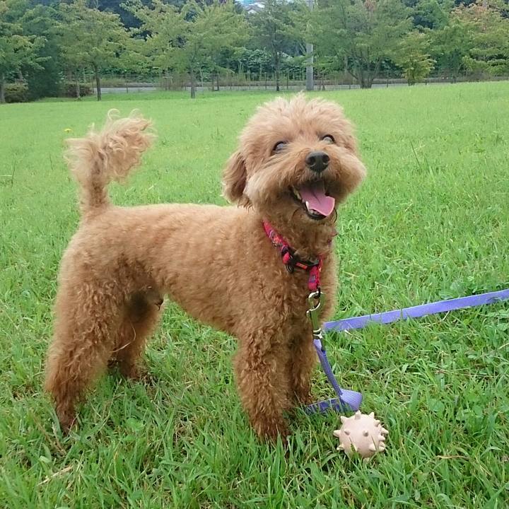 C72e8ef8 f241 473d 9305 c6aaab927c25