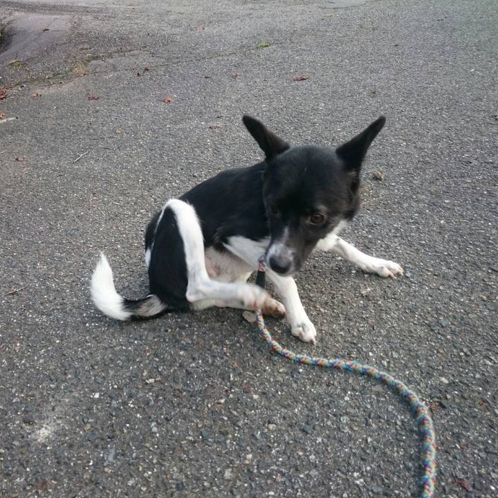 C72eb5f2 0202 402a 9ec1 a230d4231edc