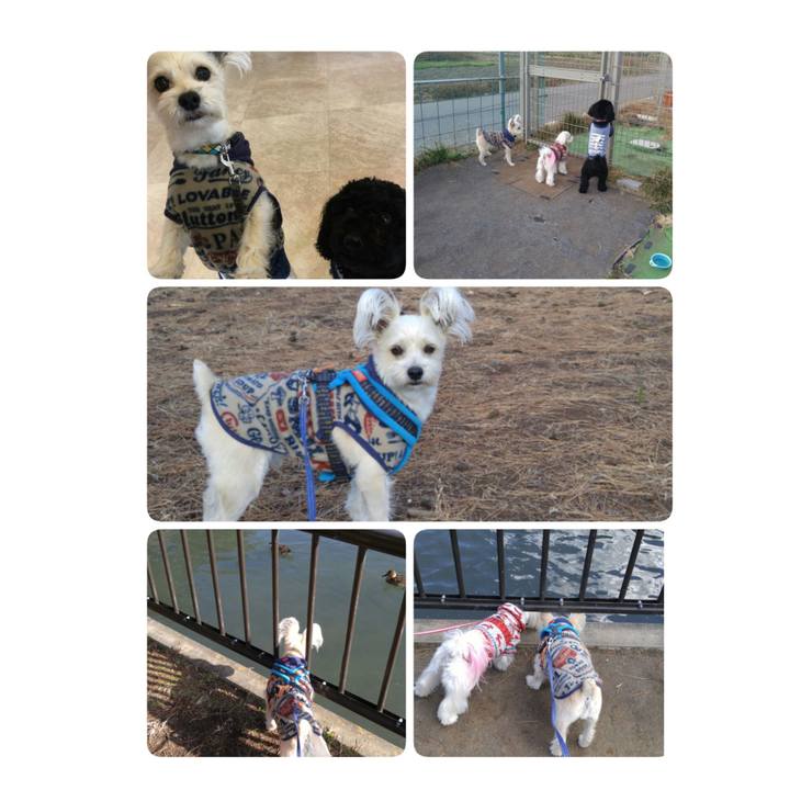 C72f3c2d a760 4c6c 8031 ccc9915ddb20