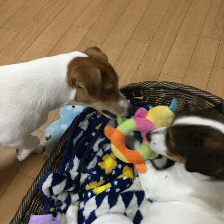 C72f8249 8f0b 48c0 9208 e298e32de6db