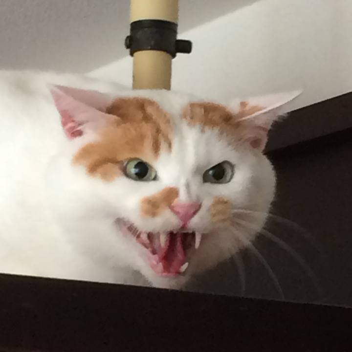 C72f8ffd 405b 452e aebc 10dc3f56c372