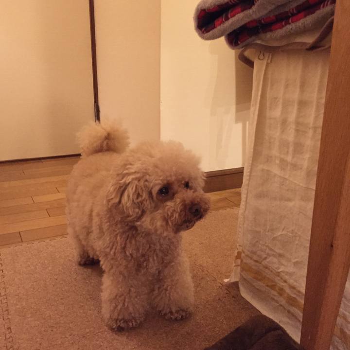 C72faad2 70d3 4a02 b726 8001d83091f6