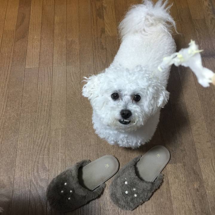 C72fe2bb 7cf8 4818 b32b 79ad963a71a0