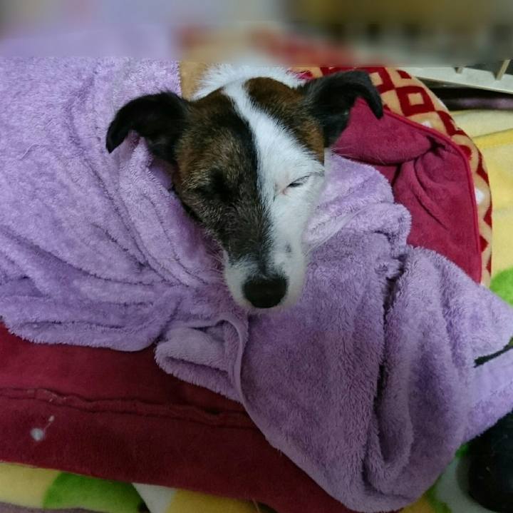 C730d690 24d6 4c01 8f37 93e0eb749f17