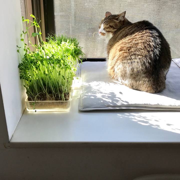 C731948c 97a2 443a 9d98 4510f18f74ab