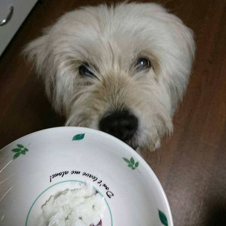 C7320f9a ece5 4065 864b bd919f31b872