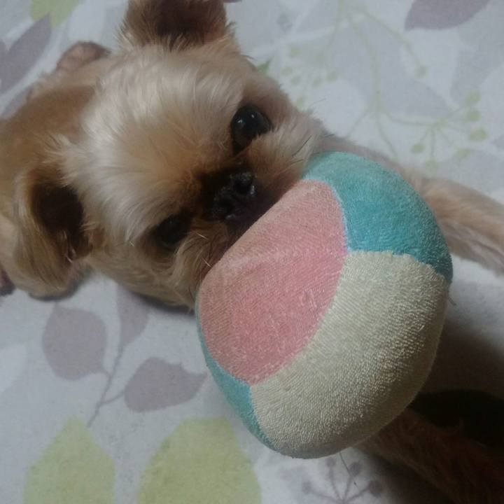 C733e91d 3a47 41cc 81bb 9b61a8728333