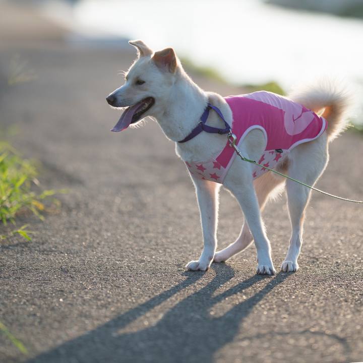 C7352172 b129 4579 84a5 9f8c5fe18f51