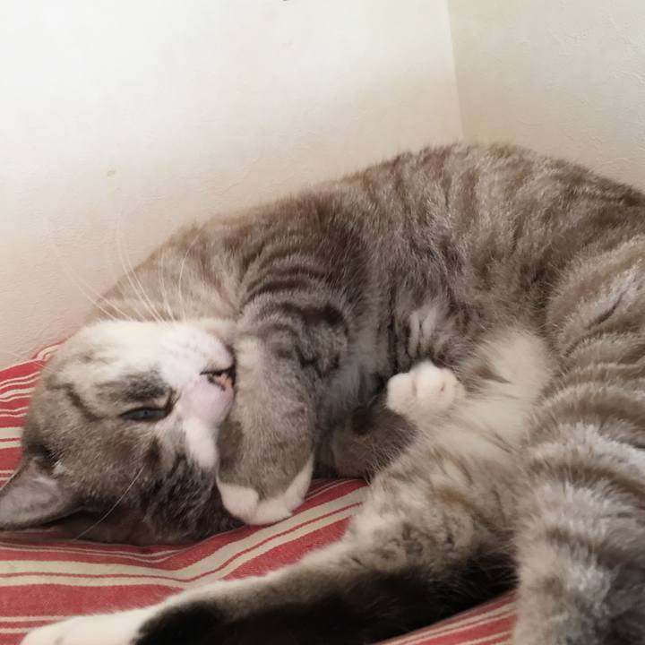 C7363267 c018 4e79 b998 1b9b04c21df2