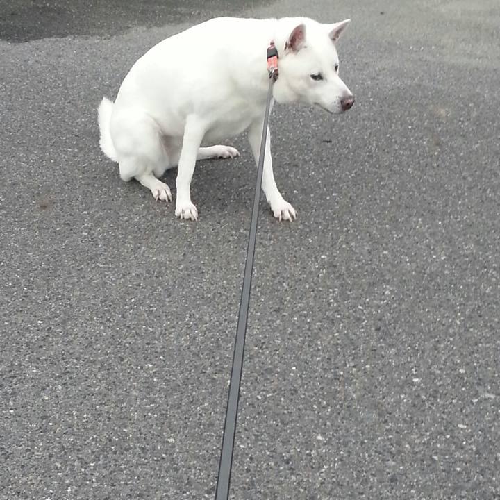 C73770b2 d425 4136 83bd b6d1cf404174