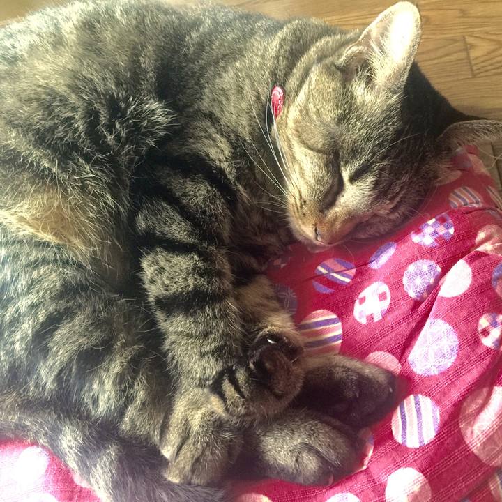 C737937b 3b4b 4f07 9fce ad353620ae91