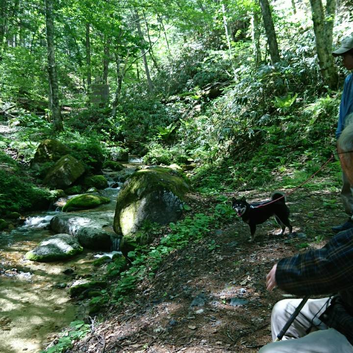 C737b602 5055 4e91 b905 c241a78ff412