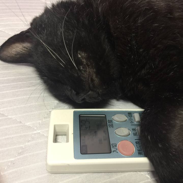 C737f6d1 23b1 43e9 956c 57cedd87b0a9