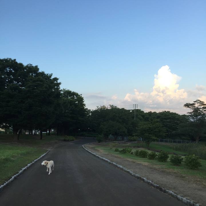 C738152d af8f 4012 ae39 436ee72c0fb5