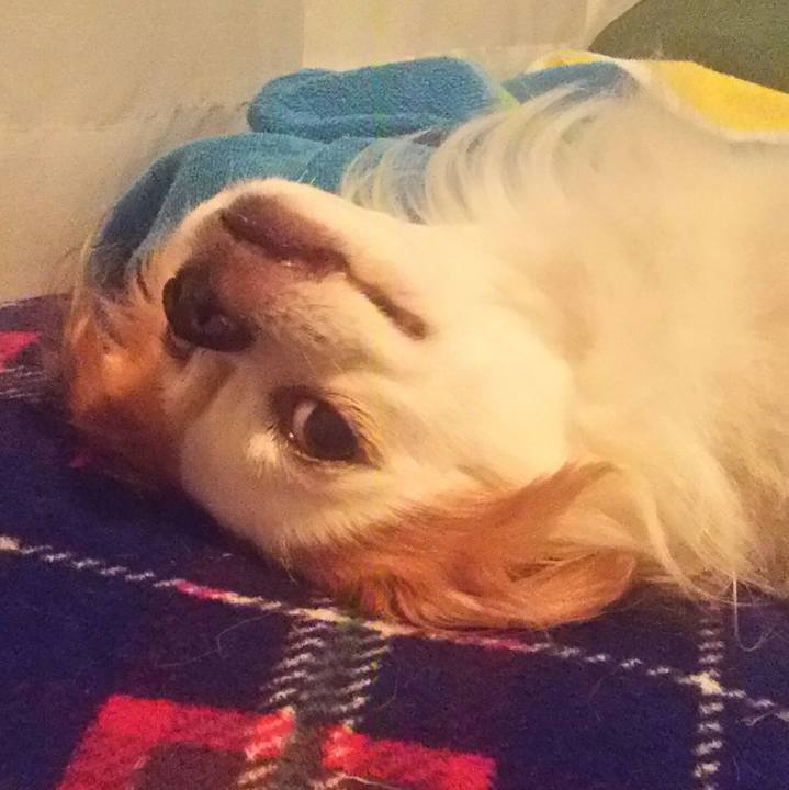 C7383166 077b 4c22 b69f 784e5cb11d6c