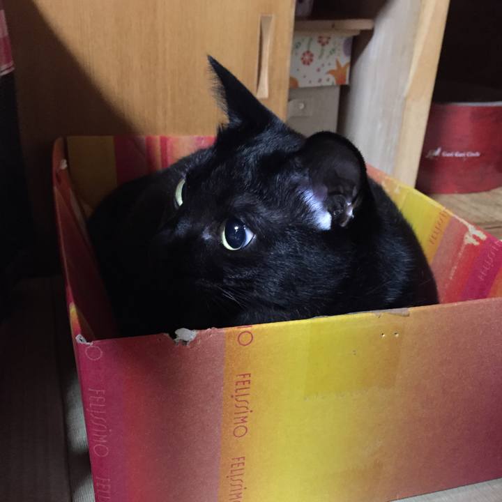 C7385f47 3b32 4040 8b22 849e1095dcfe