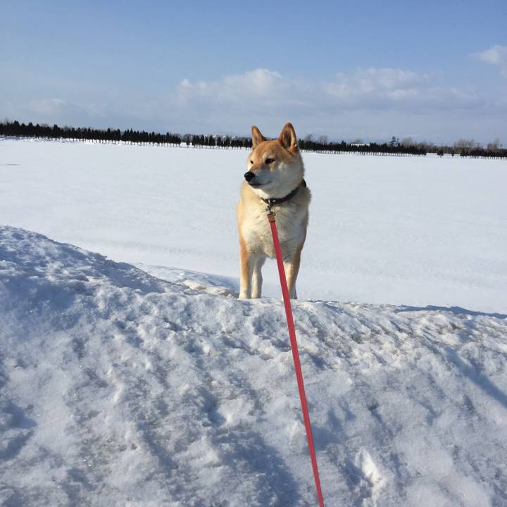 C7396c1e f673 41a3 9a8e a20211770221