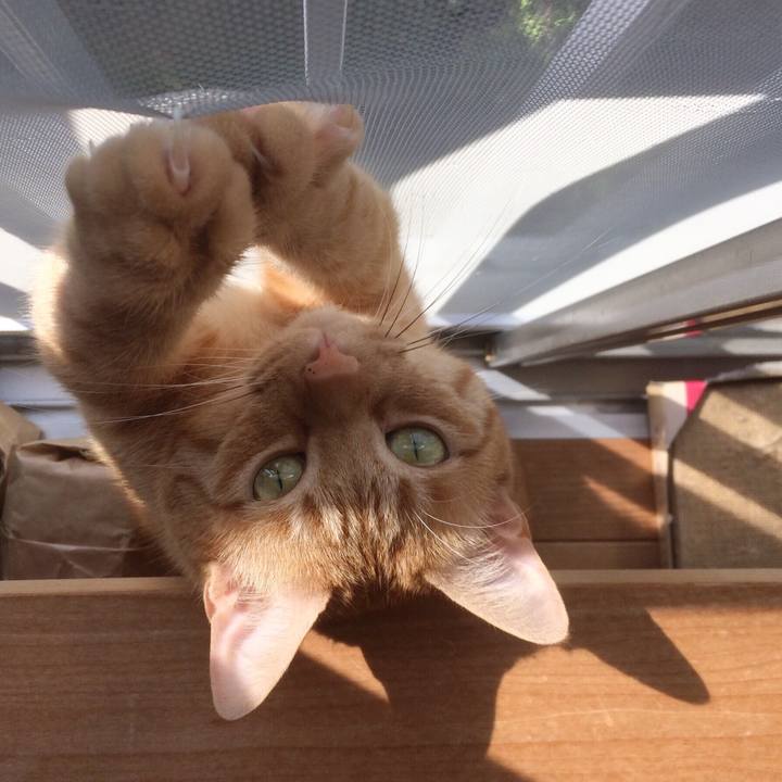 C739e758 3f4e 411f af75 53fe33e02f51