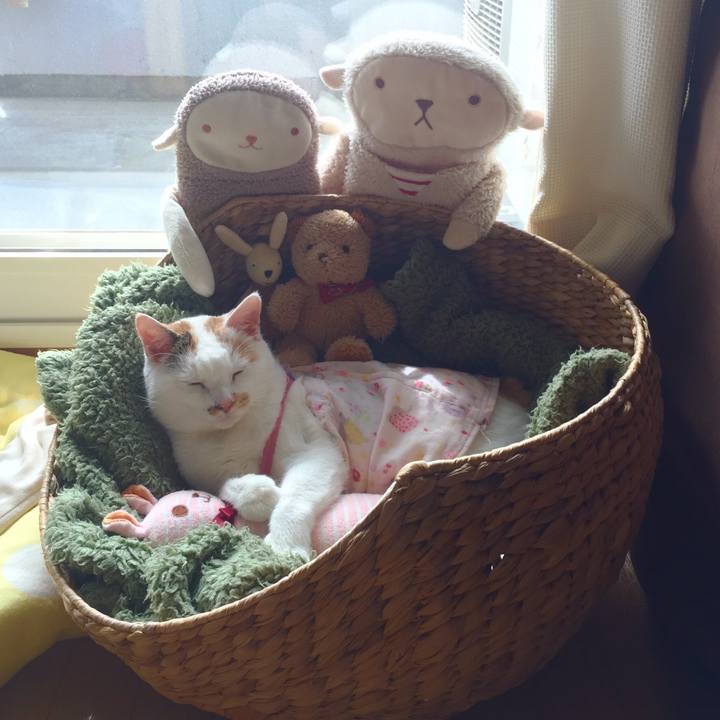 C73a2f41 55b1 4aa5 92ab 95320781bed3