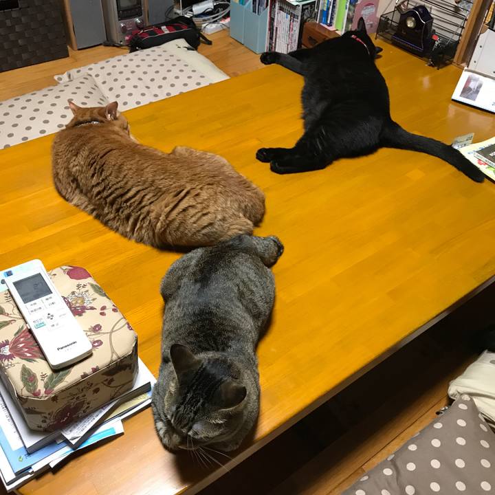 C73a3c9f 0d8e 483f 8197 d2c70ad355fa