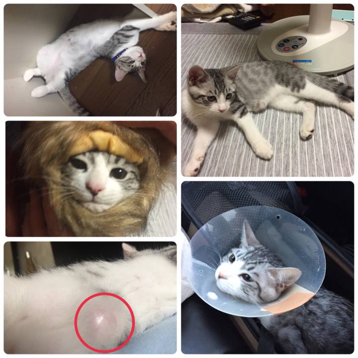 C73ae432 7727 49bf b811 3d44cf4cce1d