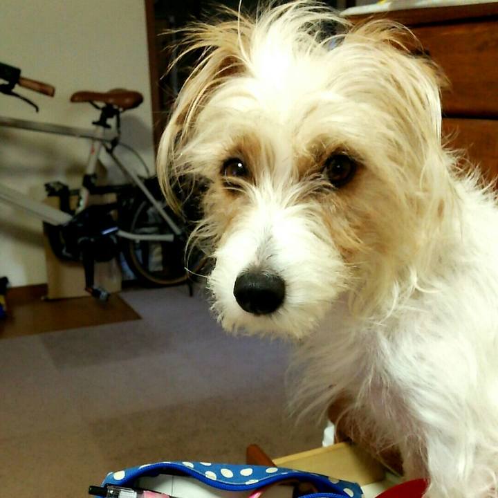 C73c2618 dfca 4475 97c3 d864a3f76d69