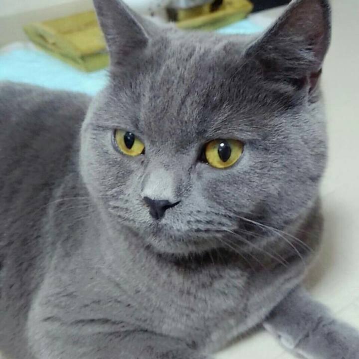 C73cfd56 d978 4dca 9a25 01918d86d490