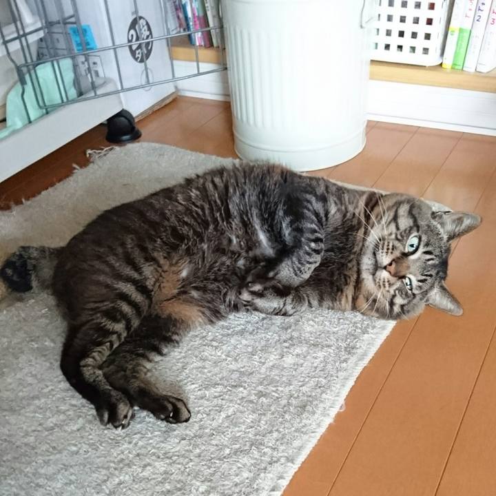 C73d391c 7651 4c9d a5b5 ac135476a8f0