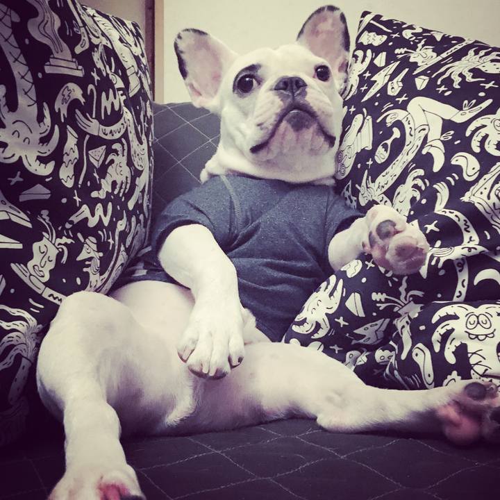 C73dc95a efe7 48b5 b621 f7fe216eb0d5