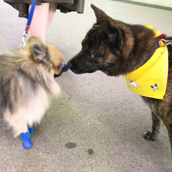 C73e3e51 7fb2 41e5 a227 bc5037238464