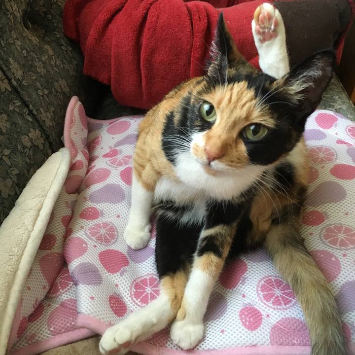 C73eb220 8610 4ef2 a08b 6ed6d4cbf4be