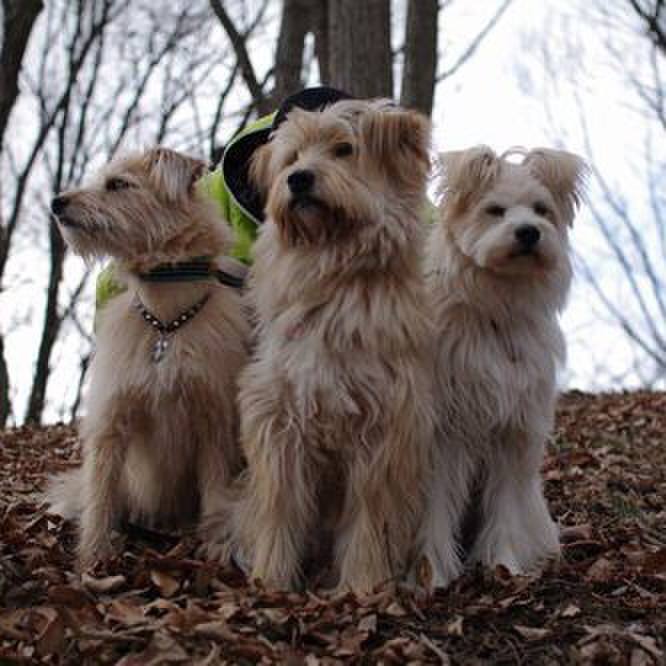 C73f5124 d581 4004 b105 a676575e5fca