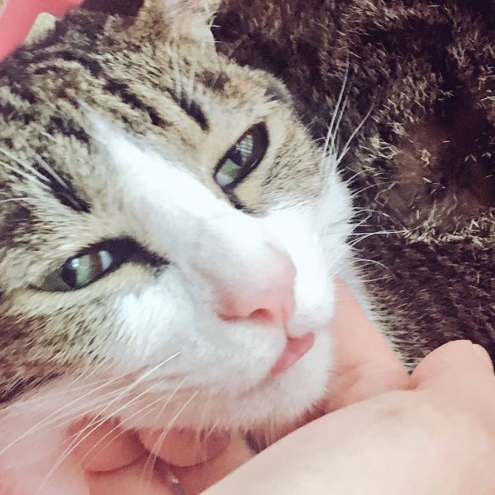 C740be68 3d94 457d a998 593a943b3ff3