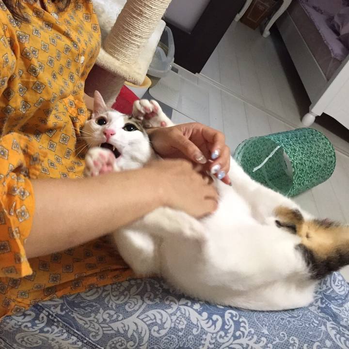 C741615e 0b87 4b41 8aab 307786658bdc